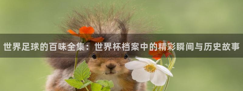 足球世界杯预选赛：世界足球的百味全集：世界杯档案中的精彩瞬间与历史故事