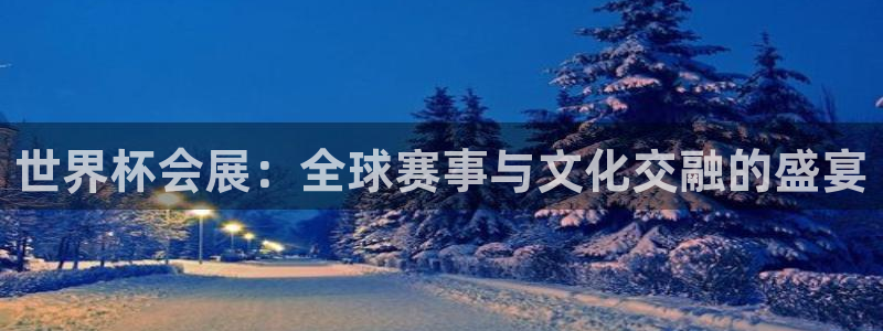 世界杯比赛时间：世界杯会展：全球赛事与文化交融的盛宴