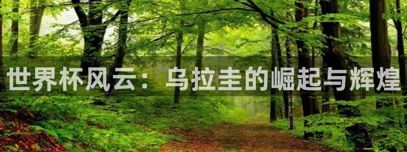 2026世界杯欧洲预选赛赛程表：世界杯风云：乌拉圭的崛起与辉煌