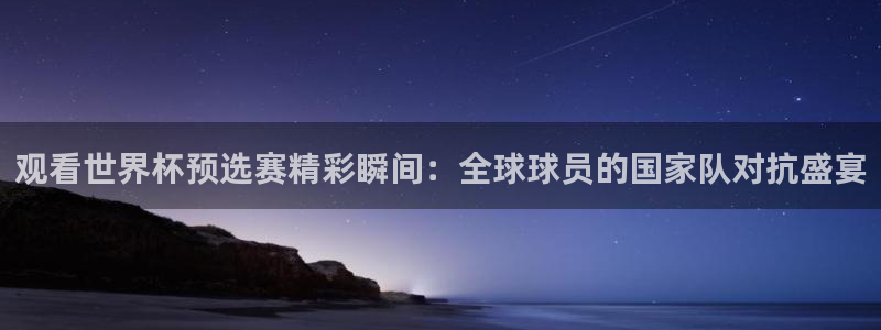 法国杯2026赛程表：观看世界杯预选赛精彩瞬间：全球球员的国家队对抗盛宴