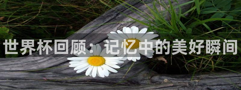 世界杯官网入口：世界杯回顾：记忆中的美好瞬间