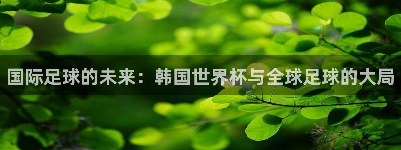 世界杯预选赛欧洲赛区积分榜：国际足球的未来：韩国世界杯与全球足球的大局