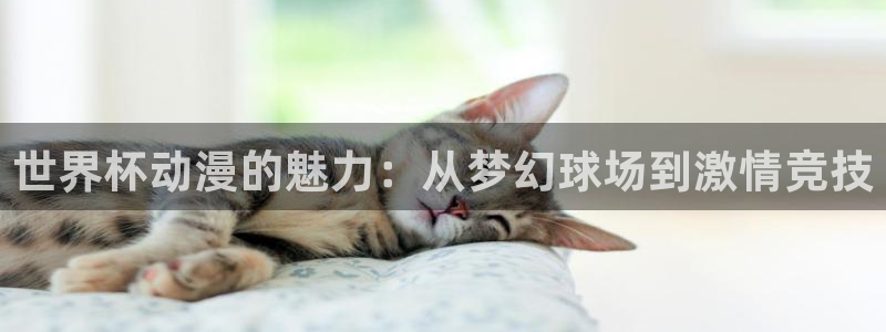 2026世亚预赛赛程表：世界杯动漫的魅力：从梦幻球场到激情竞技