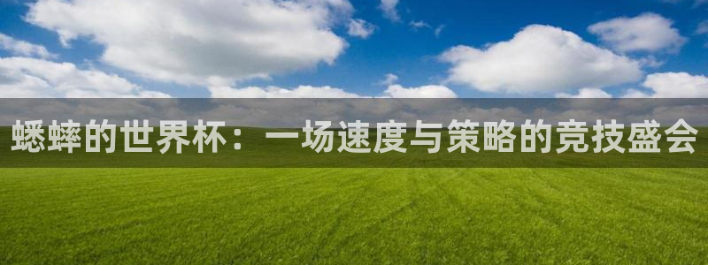 世界杯预选赛排名：蟋蟀的世界杯：一场速度与策略的竞技盛会
