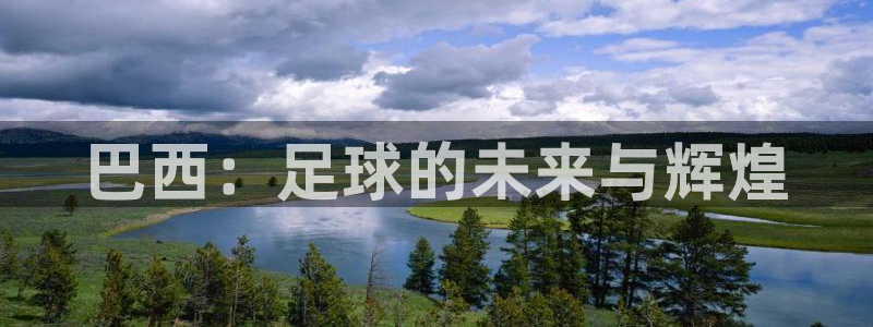 中国 世界杯：巴西：足球的未来与辉煌