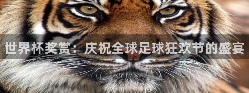 世界杯附加赛赛程表：世界杯奖赏：庆祝全球足球狂欢节的盛宴