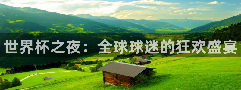2026男足世界杯赛程：世界杯之夜：全球球迷的狂欢盛宴
