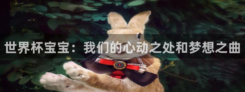 世界杯预选赛欧洲区赛程：世界杯宝宝：我们的心动之处和梦想之曲