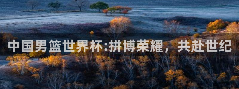 足球世界杯赛程：中国男篮世界杯:拼博荣耀，共赴世纪