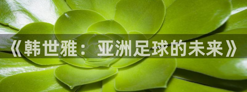 世界杯直播时间：《韩世雅：亚洲足球的未来》