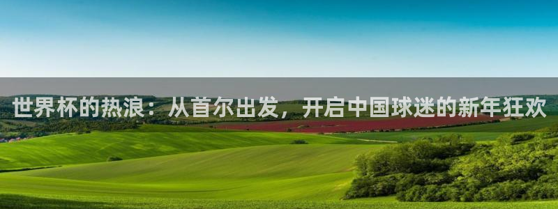 世界杯 中国：世界杯的热浪：从首尔出发，开启中国球迷的新年狂欢